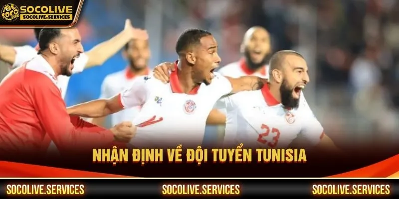 Nhận định về đội tuyển Tunisia ngày 15/06/2026 Nhận định về đội tuyển Tunisia ngày 15/06/2026